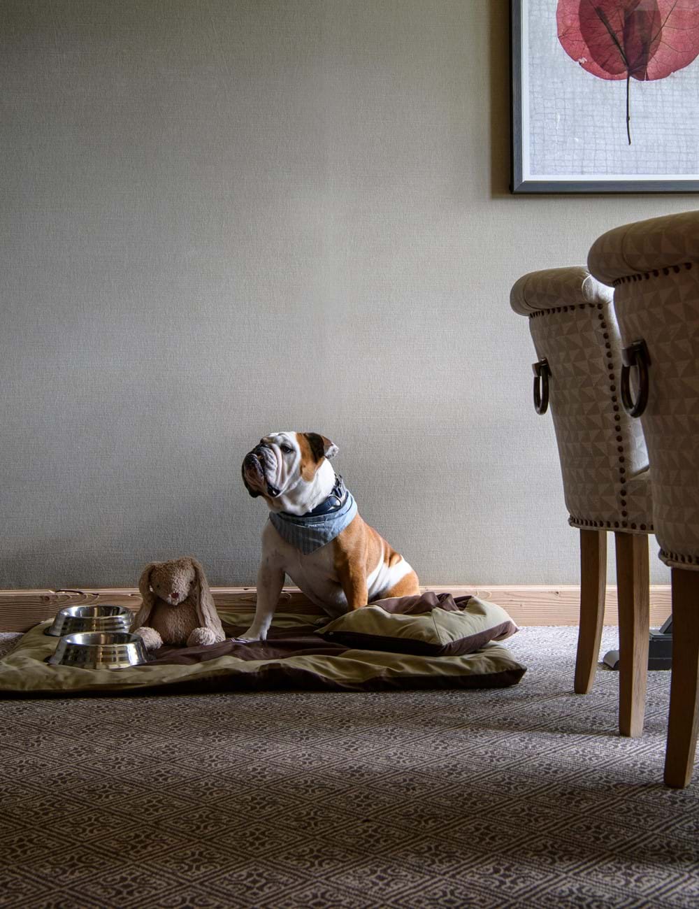 An illuminating insight