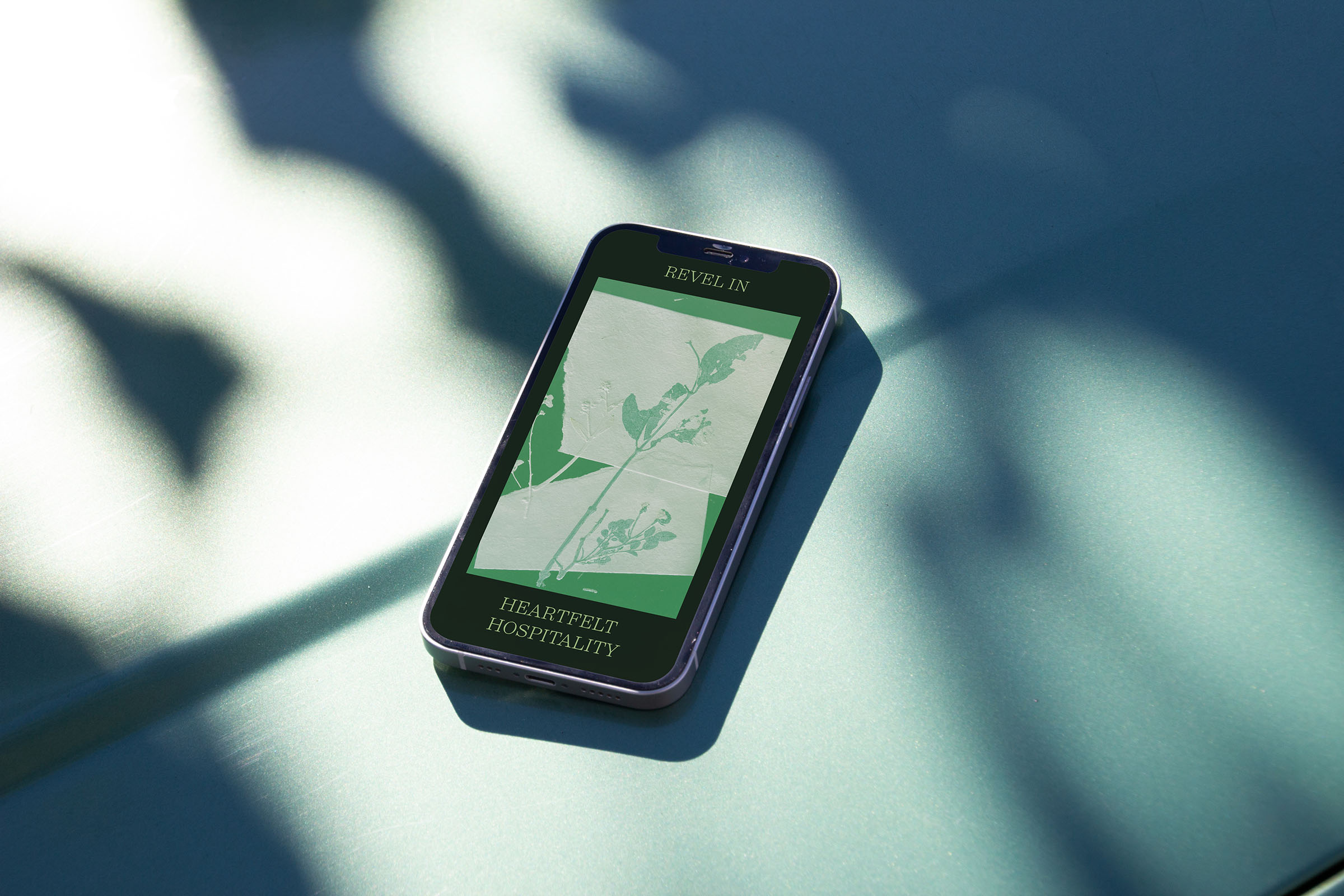 Bringing this new brand to life